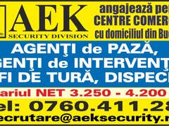 Agenti paza, interventie, sefi de tura, dispeceri